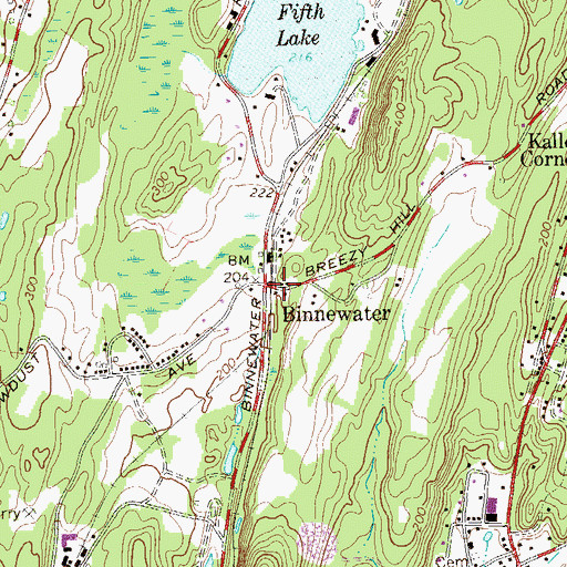 Topographic Map of Binnewater, NY
