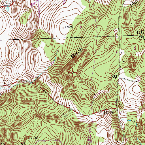 Topographic Map of Birch Hill, NY