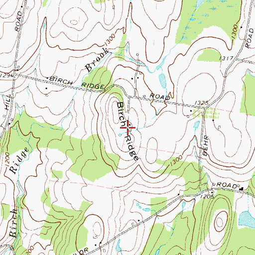 Topographic Map of Birch Ridge, NY