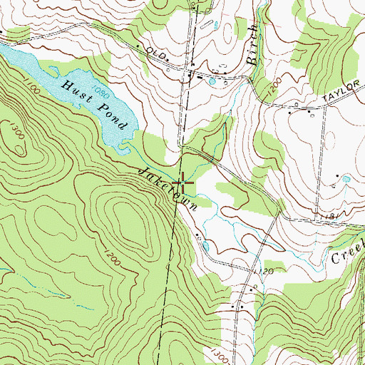 Topographic Map of Birch Ridge Brook, NY