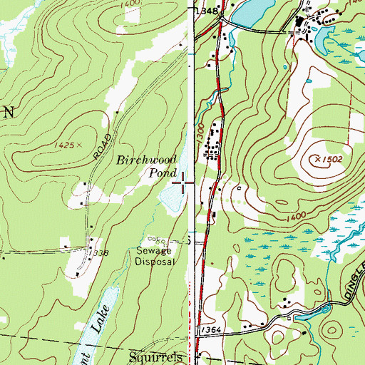 Topographic Map of Birchwood Pond, NY