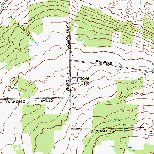 Topographic Map of Bird Cemetery, NY