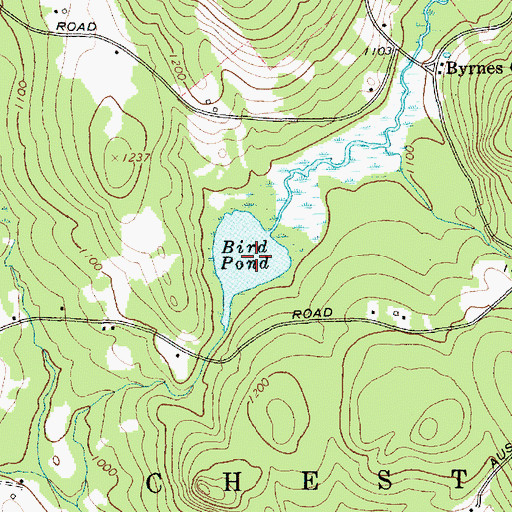 Topographic Map of Bird Pond, NY