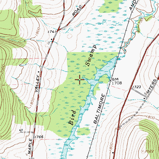 Topographic Map of Bird Swamp, NY