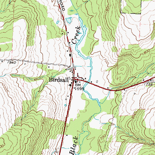 Topographic Map of Birdsall, NY