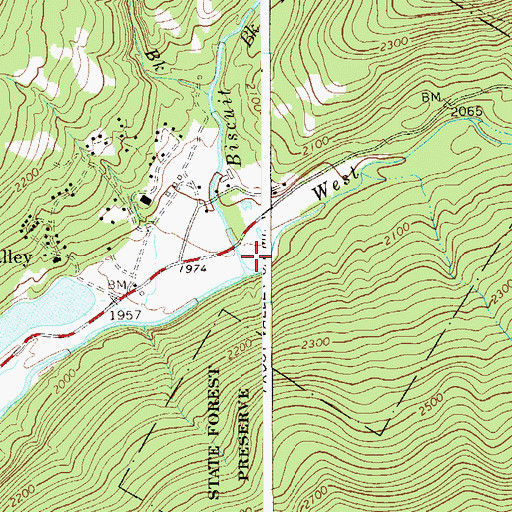 Topographic Map of Biscuit Brook, NY