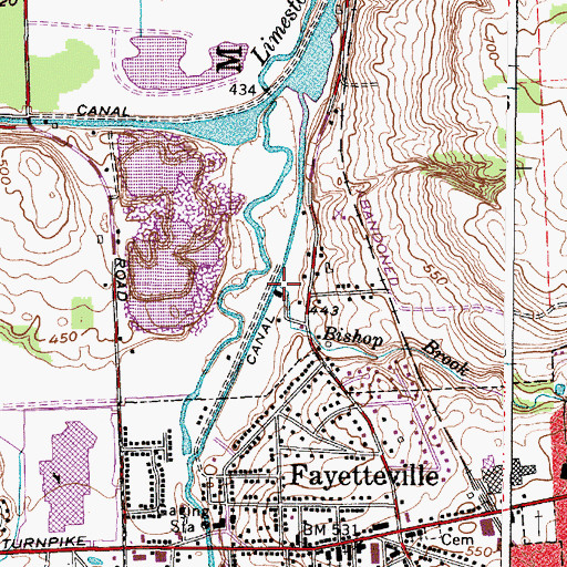 Topographic Map of Bishop Brook, NY