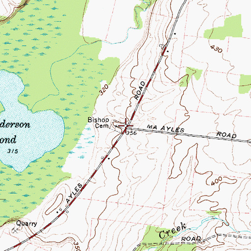 Topographic Map of Bishop Cemetery, NY