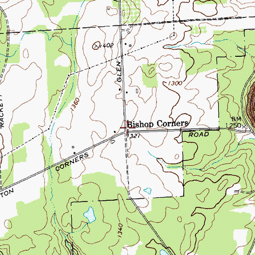 Topographic Map of Bishop Corners, NY