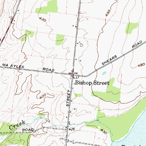 Topographic Map of Bishop Street, NY