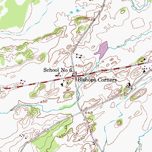 Topographic Map of Bishops Corners, NY