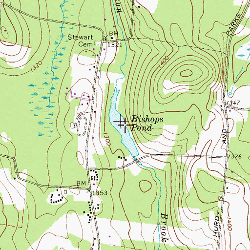 Topographic Map of Bishops Pond, NY