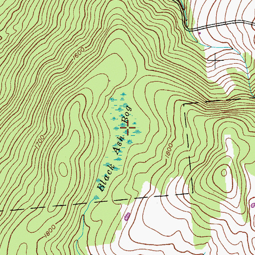 Topographic Map of Black Ash Bog, NY