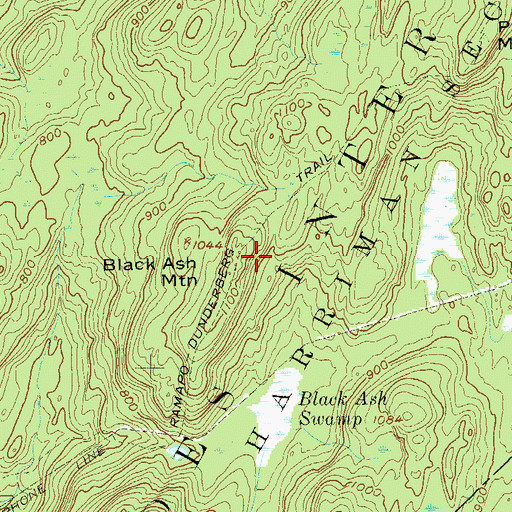 Topographic Map of Black Ash Mountain, NY