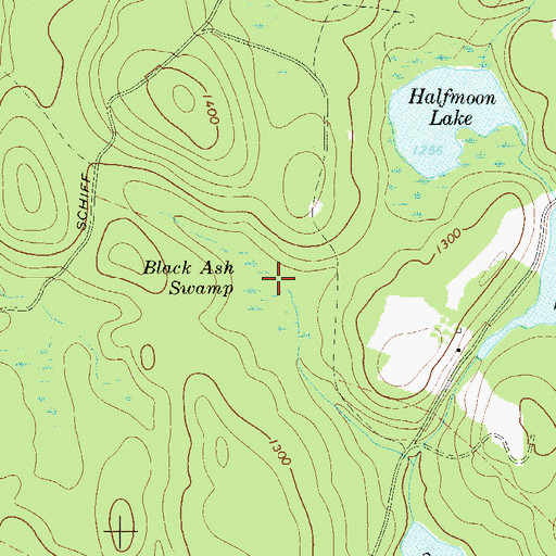 Topographic Map of Black Ash Swamp, NY