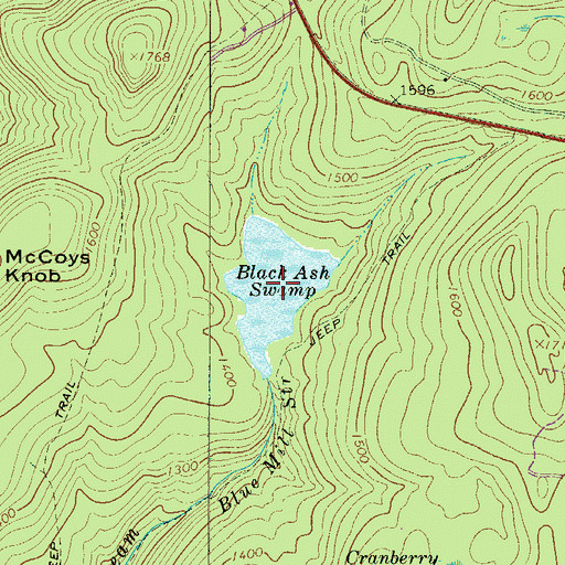 Topographic Map of Black Ash Swamp, NY