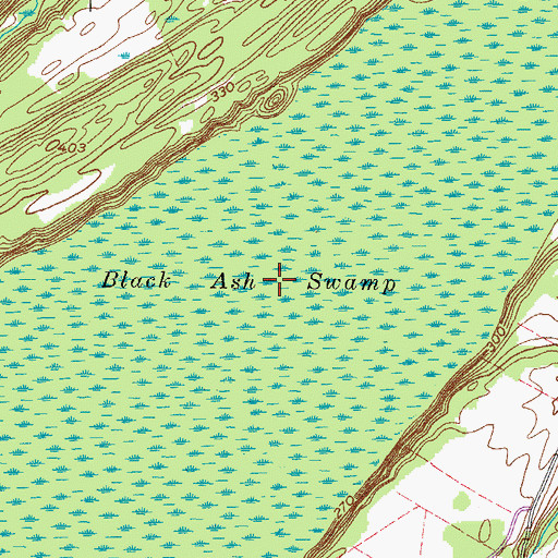 Topographic Map of Black Ash Swamp, NY