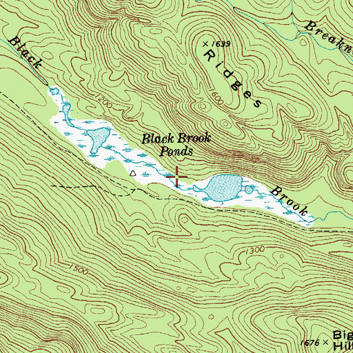 Topographic Map of Black Brook Ponds, NY