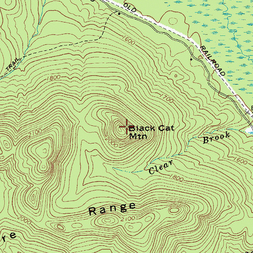 Topographic Map of Black Cat Mountain, NY