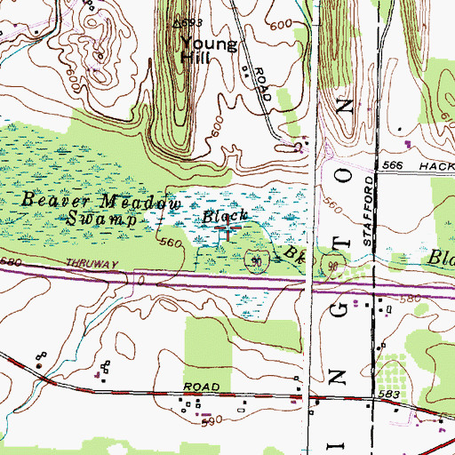 Topographic Map of Black Creek, NY