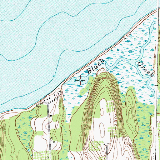 Topographic Map of Black Creek, NY