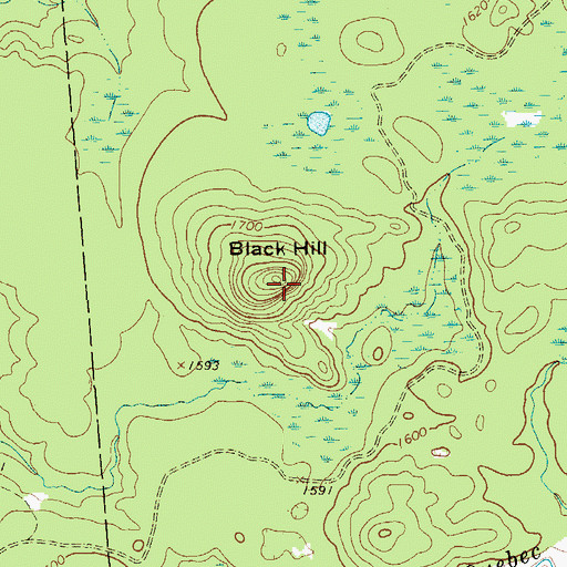 Topographic Map of Black Hill, NY