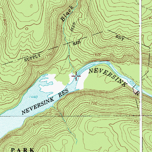Topographic Map of Black Joe Brook, NY
