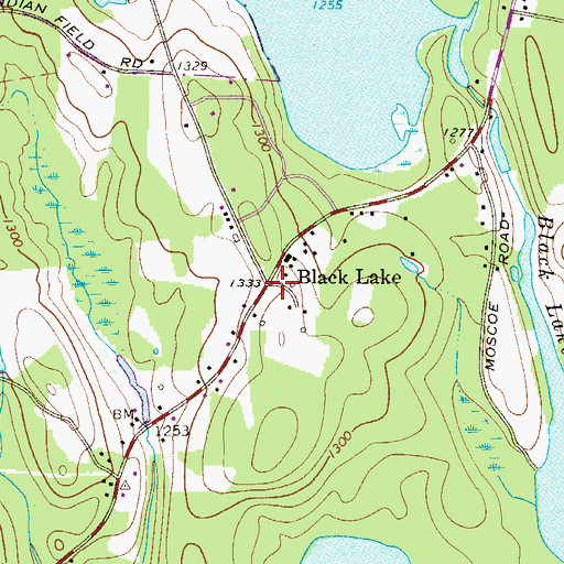 Topographic Map of Black Lake, NY