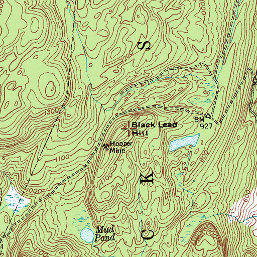 Topographic Map of Black Lead Hill, NY
