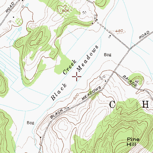 Topographic Map of Black Meadows, NY