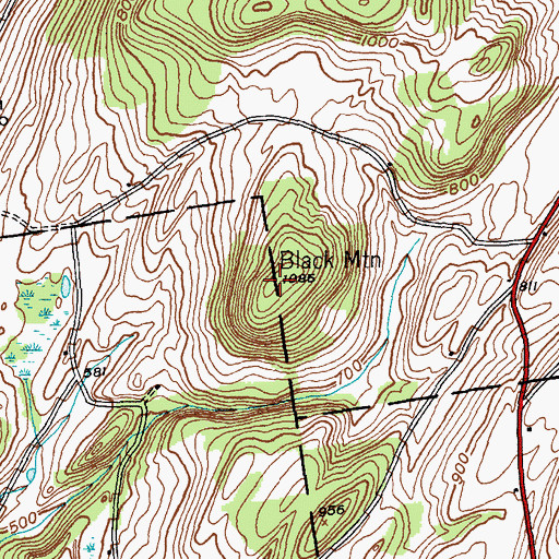 Topographic Map of Black Mountain, NY