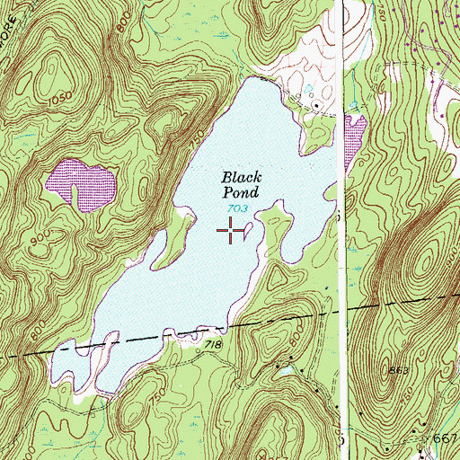 Topographic Map of Black Pond, NY