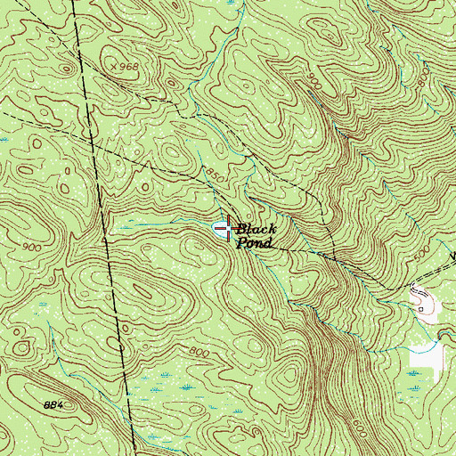 Topographic Map of Black Pond, NY