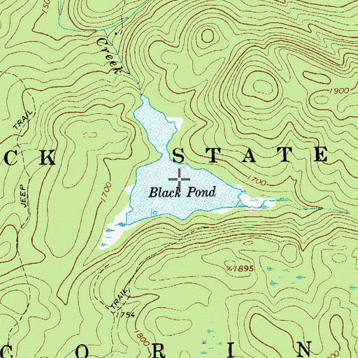 Topographic Map of Black Pond, NY