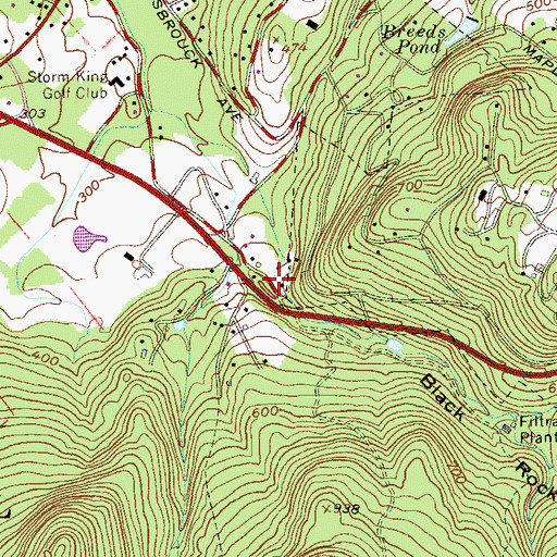 Topographic Map of Black Rock Hollow, NY