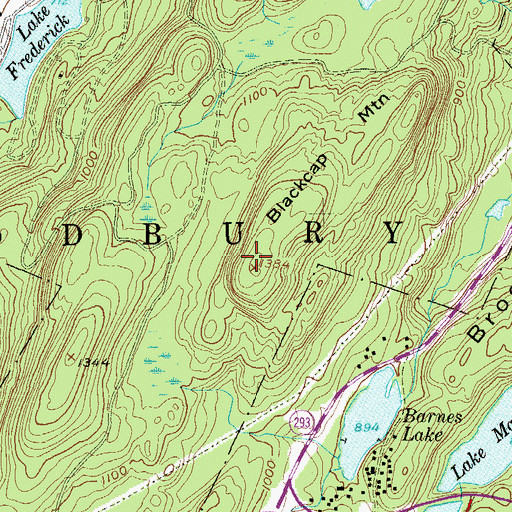 Topographic Map of Blackcap Mountain, NY