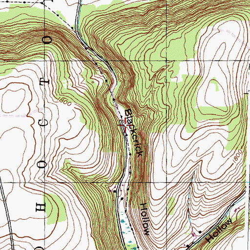 Topographic Map of Blackcrick Hollow, NY