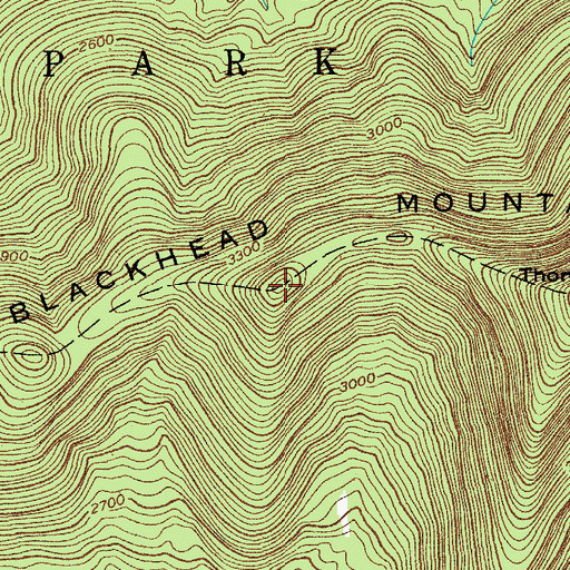 Topographic Map of Blackhead Mountains, NY
