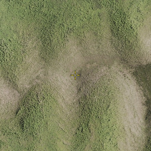 Aerial/Satellite Image of Blackhead Mountains, NY