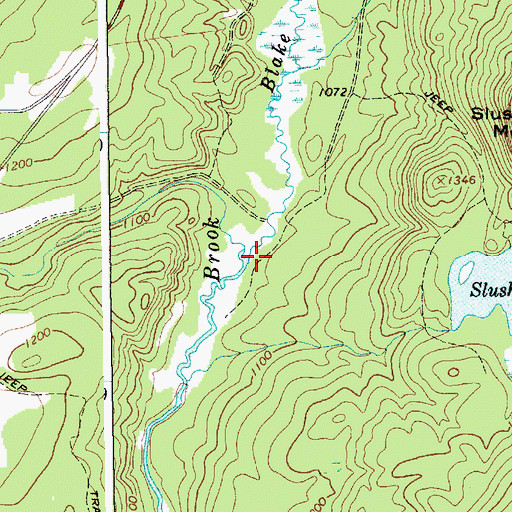 Topographic Map of Blake Brook, NY