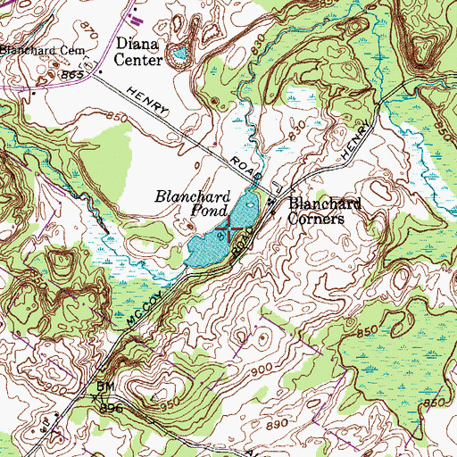 Topographic Map of Blanchard Pond, NY