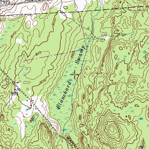 Topographic Map of Blanchard Swamp, NY