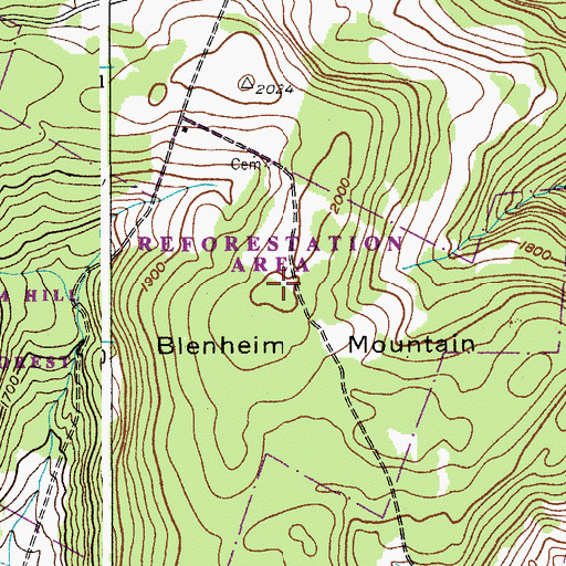 Topographic Map of Blenheim Mountain, NY