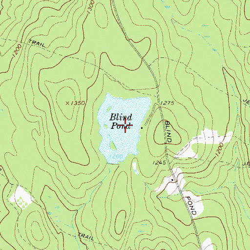 Topographic Map of Blind Pond, NY