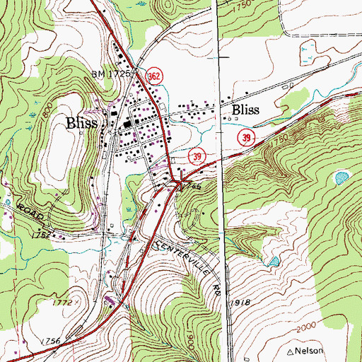 Topographic Map of Bliss, NY