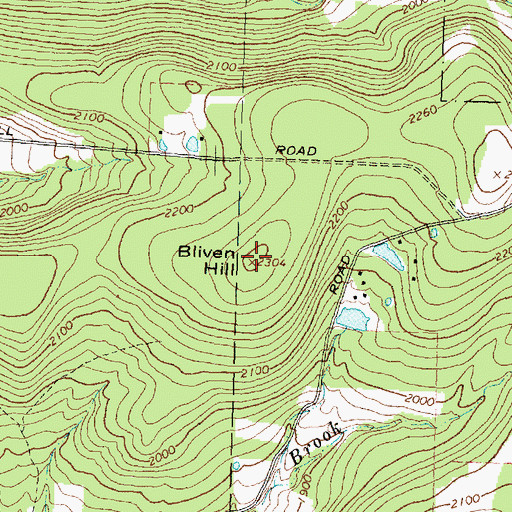 Topographic Map of Bliven Hill, NY