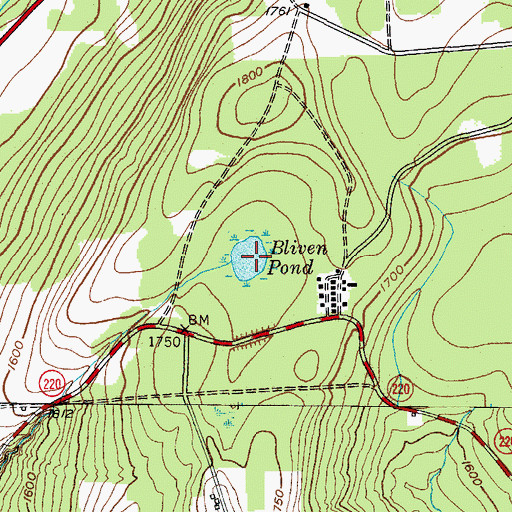 Topographic Map of Bliven Pond, NY