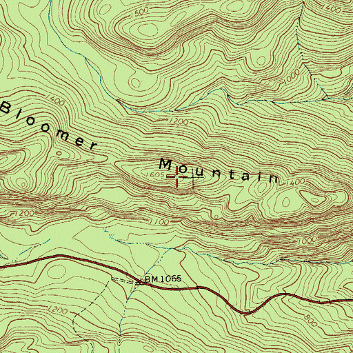 Topographic Map of Bloomer Mountain, NY
