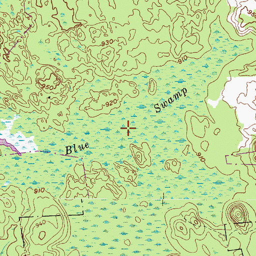Topographic Map of Blue Swamp, NY