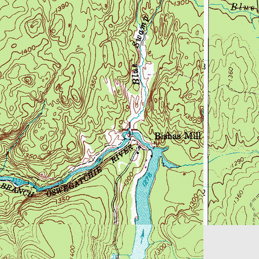 Topographic Map of Blue Swamp Creek, NY